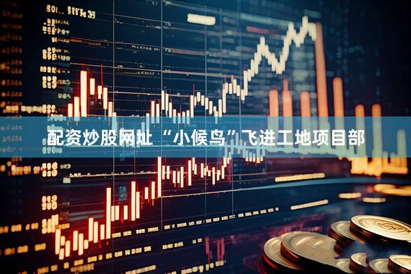 配资炒股网址 “小候鸟”飞进工地项目部